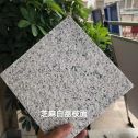 铜川 芝麻白荔枝面干挂