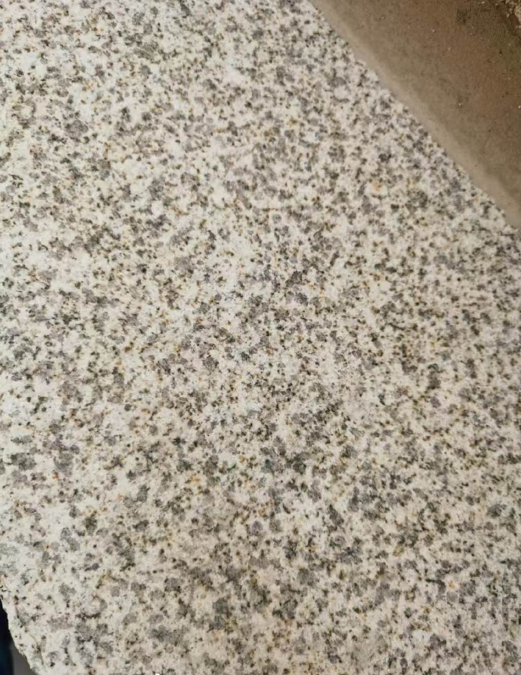 铜川 黄金麻中黄光面